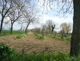 Aste giudiziarie immobiliari online - 6.0