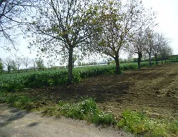 Aste giudiziarie immobiliari online - 7.0