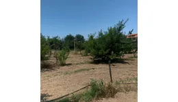 Aste giudiziarie immobiliari online - 9.0