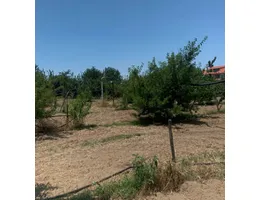 Aste giudiziarie immobiliari online - 11.0